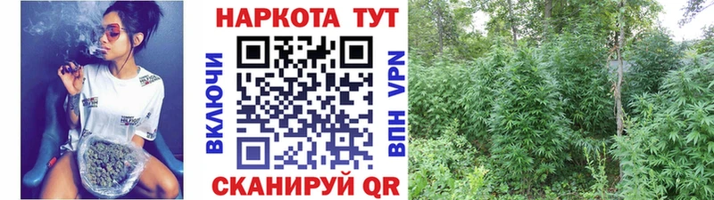 Все наркотики Тутаев Псилоцибиновые грибы  Амфетамин  Меф мяу мяу  Каннабис  КОКАИН  Гашиш 