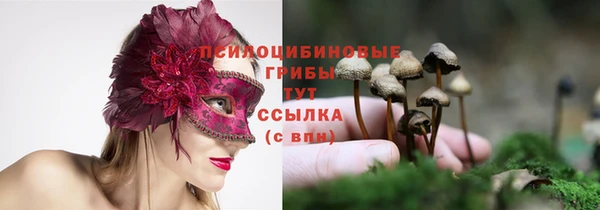 крисы Балабаново