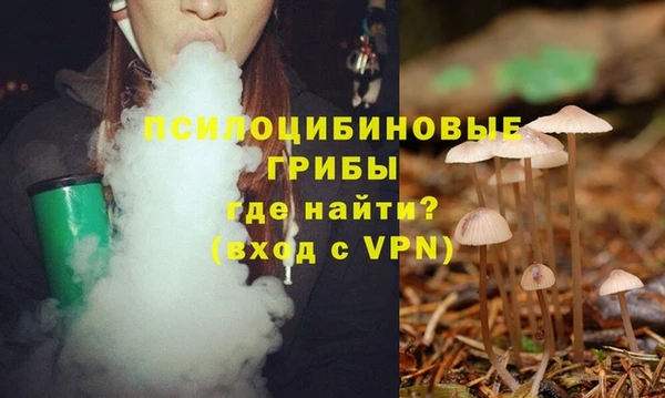 дмт Баксан